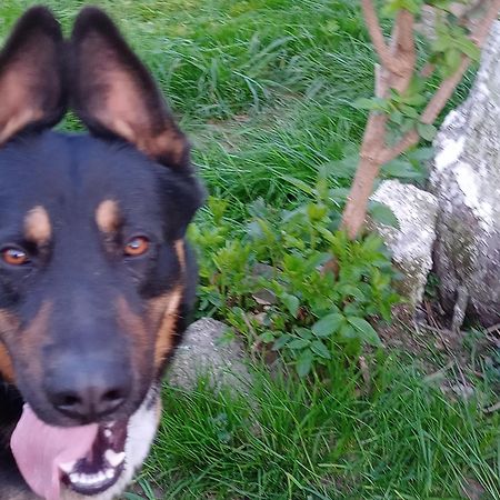 Agroturystyka Janiczek Tuchow Dabrowka Tuchowska Bagian luar foto